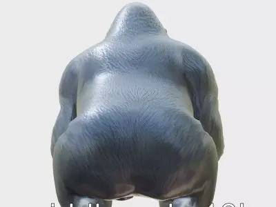 Gorilla Massive Muscular Body Dark Fur 3D Model Low-poly 3D model
