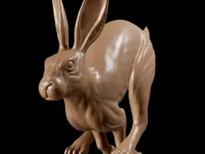 Rabbit Running 3D print model