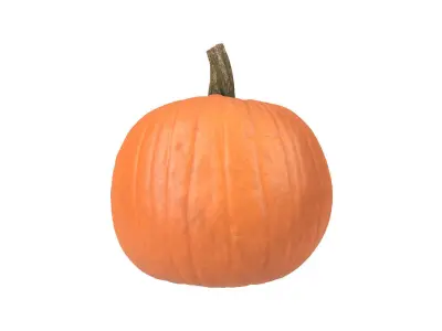 Photorealistic Pumpkin 3D Scan 3D model