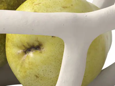 Nested bowl with pears 3D model