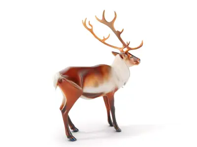 Elegant Reindeer Model Pack for D Environments Low-poly 3D model