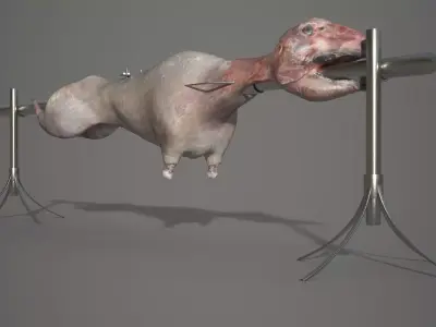Lamb on a Spit Low-poly 3D model