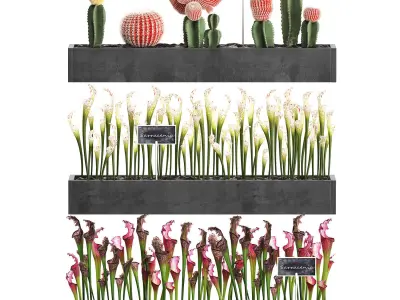Cactus set wall decor vertical garden 45 3D model