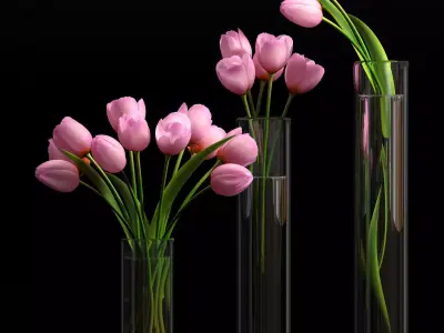 pink tulip set 5 3D model