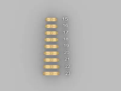 wedding ring save and preserve  3D print model