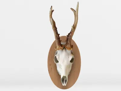 Deer Skull Wall Trophy 3D model