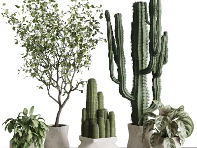 Indoor plant 458 pot plant cactus tree bush in old concrete vase 3D model
