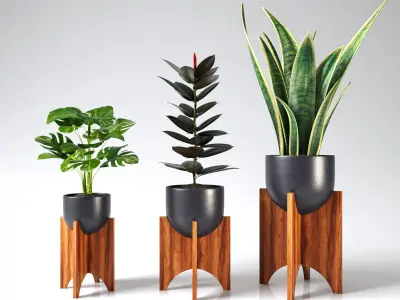 plant collection set 03 3D model