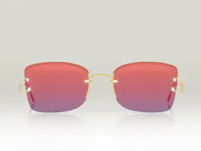 Luxury Fashion Sunglasses 3D model