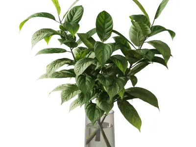 Collection Green Plants Bouquet Indoor 38 Low-poly 3D model