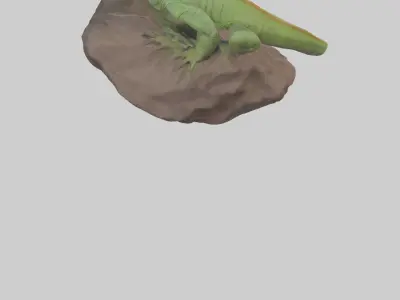 Caiman Lizard basking model Low-poly 3D model