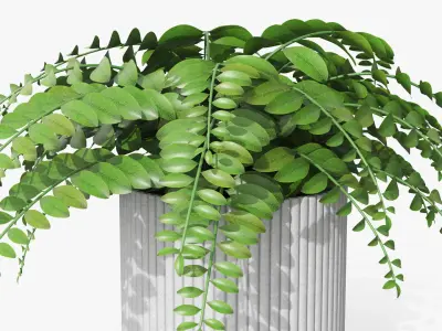 Plant Boho - Fern Low-poly 3D model