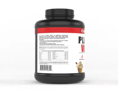 Protein Powder 3D model 181