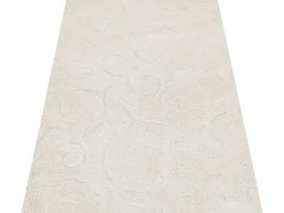 Rug Set 1845 3D model