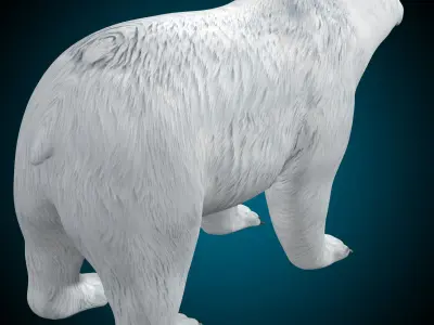 Polar Bear 3D model