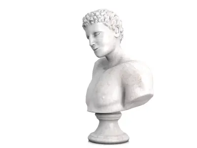 Classic male bust 3D model