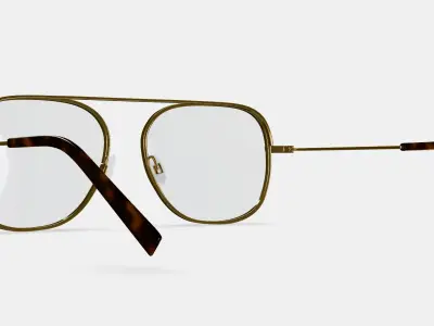 Sade Eyeglasses in Polished Gold 3D model