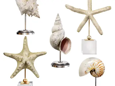 Sea shell decorative set 03 3D model