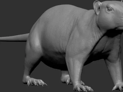 VFX Ready marmot 3d model 3D model