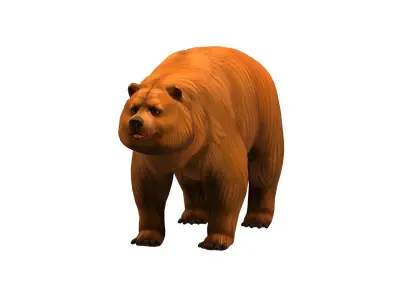 bear  rig  high-poly  textured  3D model