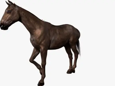Horse Rigged Low-poly 3D model