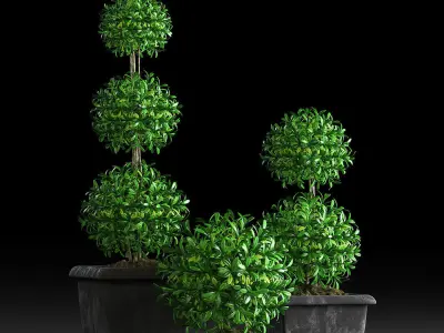 Plants 15 3D model