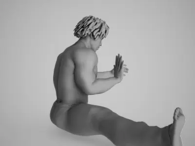 Karate Exercise 3D print model