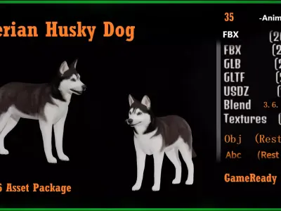Siberian Husky Dog Low-poly 3D model