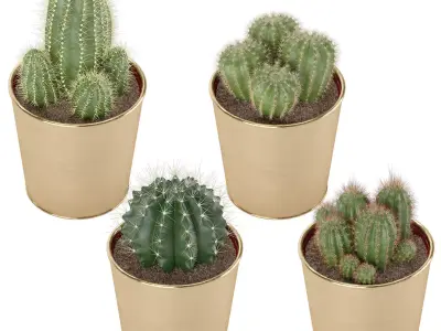 Set of Ikea Cactus 3D model