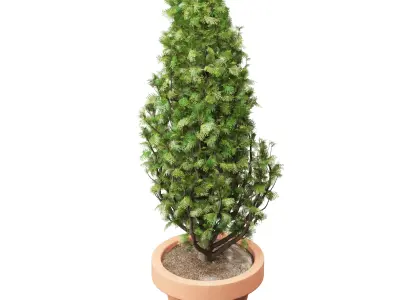 Vase Cypress Free 3D model