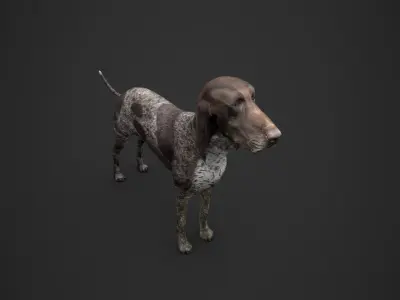 Dog low poly german shorthaired pointer Low-poly 3D model