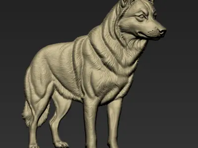 Wolf A114 3D print model