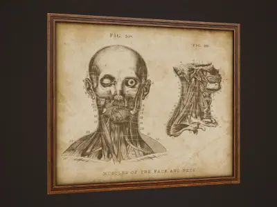 Medical Pictures - PBR Game Ready Low-poly 3D model