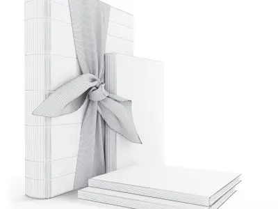Book Set 2 gift of books 3D model