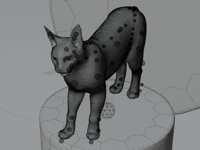 Caracal Cat with rigging and animation 3D model