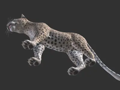 Leopard Low-poly 3D model buy