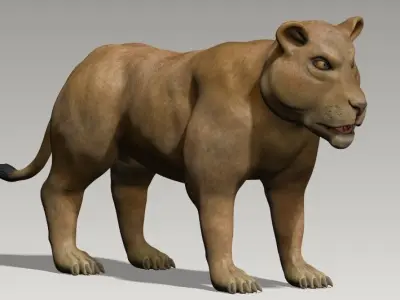 Lion and lioness Low-poly 3D model