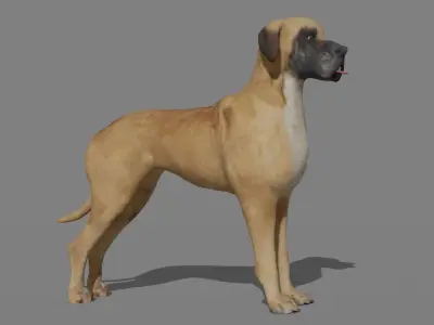 GREAT DANE Low-poly 3D model