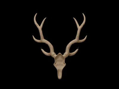 Antler deer skull 3D model