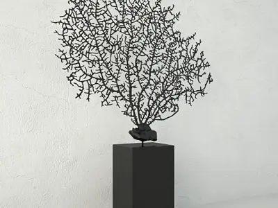 Black Gorgonaria Decoration 3D model