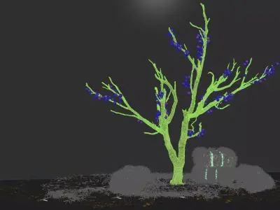 fruit trees 3D model