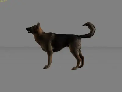 Dog Animal Low-poly 3D model