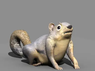 squirrel rigged 3D model