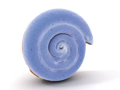 Spiral Shell Wooden model pack Low-poly 3D model
