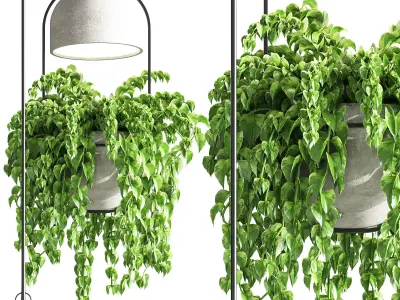Indoor Plants Hanging Pot Concrete Vase 02 3D model