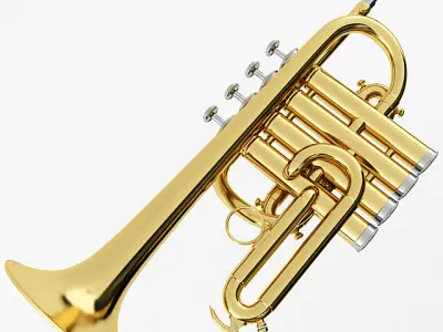Piccolo Trumpet 3D model