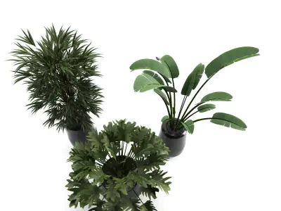 decoration flower01 Low-poly 3D model