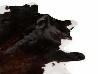 Brown And White Cowhide Rug 3D model