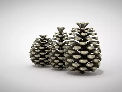 Christmas Pine Cone 3D Model 3D model