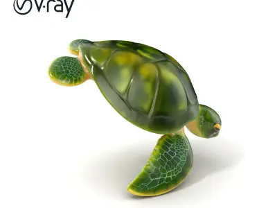 Green Sea Turtle Realistic Model Pack Low-poly 3D model